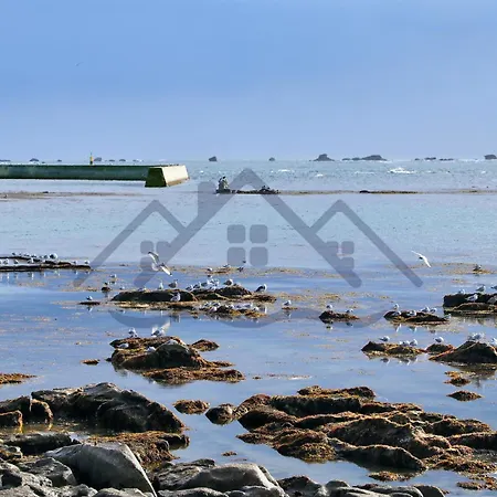 Localise - M44 - Ty Juzolie -maison De Plain-pied Avec Jardin Clos A Deux Pas Du Centre, Du Port Et Des Plages Du - Wifi Inclus - Linge De Lit Inclus - Animaux Bienvenus Vakantiehuis *